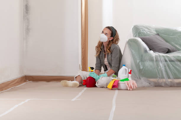 Reliable Mold Remediation contractor in Shamokin, PA by WQB Mold Removal